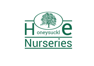 Logo Design by lalit k