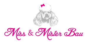 Logo-Design von wmcool für MISS & MISTER BAU DI MAZZUCCO LARA E C. S.N.C. | Design #5817232