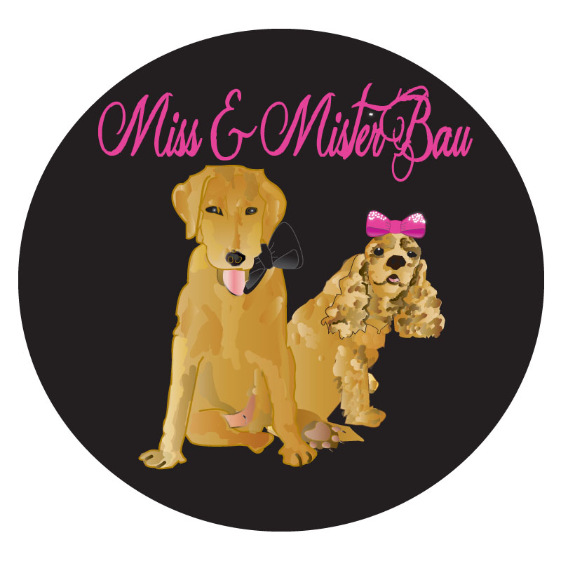 Design de Logo par ktgrandy pour MISS & MISTER BAU DI MAZZUCCO LARA E C. S.N.C. | Design #5846501
