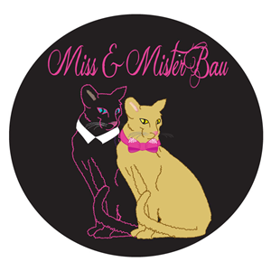Logo Design by ktgrandy for MISS & MISTER BAU DI MAZZUCCO LARA E C. S.N.C. | Design: #5847421