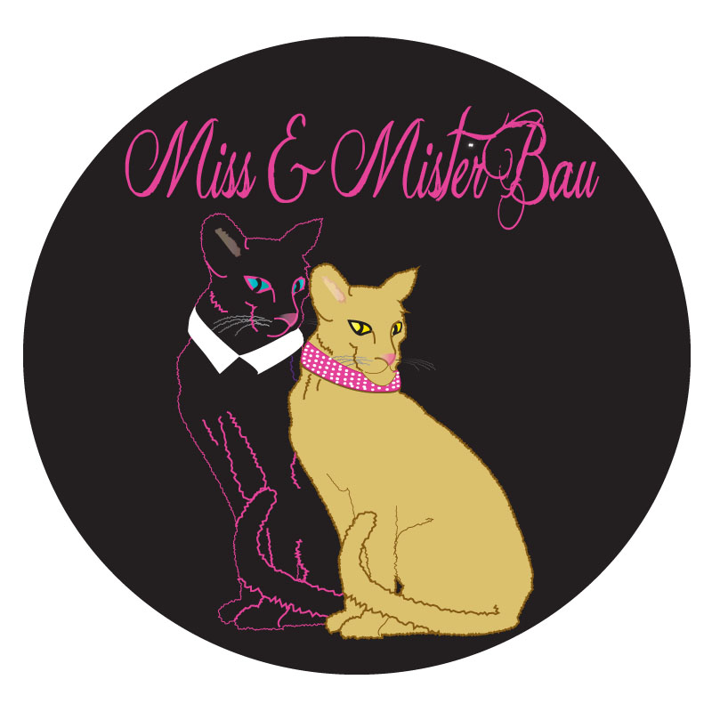 Diseño de Logo por ktgrandy para MISS & MISTER BAU DI MAZZUCCO LARA E C. S.N.C. | Diseño #5847422