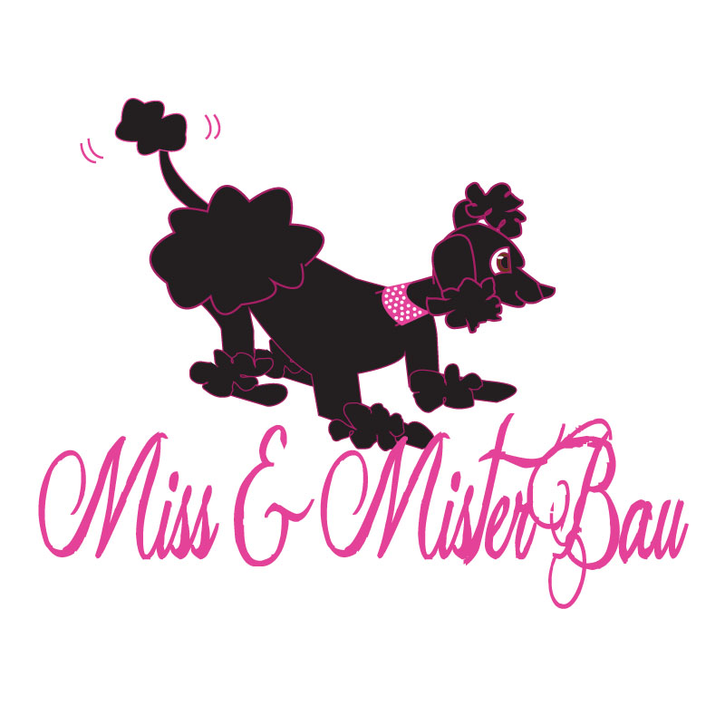 Diseño de Logo por ktgrandy para MISS & MISTER BAU DI MAZZUCCO LARA E C. S.N.C. | Diseño #5851090