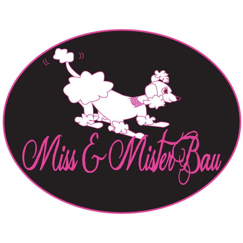 Logo Design by ktgrandy for MISS & MISTER BAU DI MAZZUCCO LARA E C. S.N.C. | Design #5851168