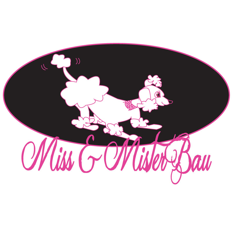 Logo Design by ktgrandy for MISS & MISTER BAU DI MAZZUCCO LARA E C. S.N.C. | Design #5851175