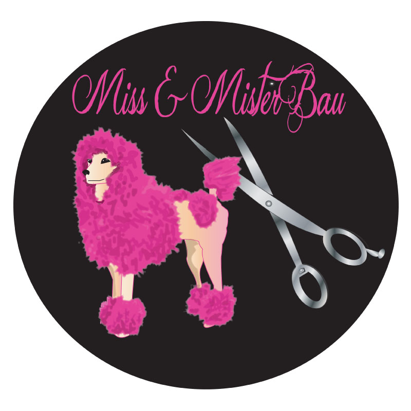 Logo Design by ktgrandy for MISS & MISTER BAU DI MAZZUCCO LARA E C. S.N.C. | Design #5852488