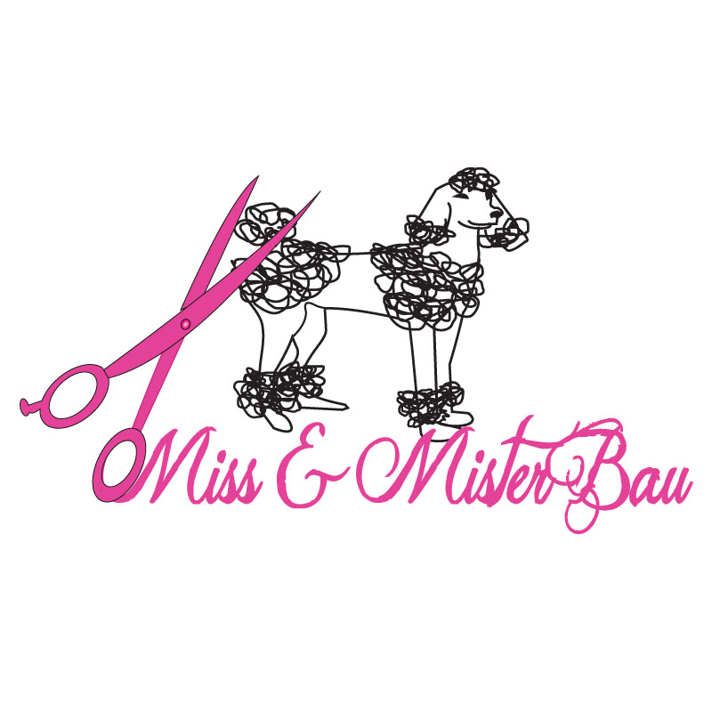 Logo Design by ktgrandy for MISS & MISTER BAU DI MAZZUCCO LARA E C. S.N.C. | Design #5853214