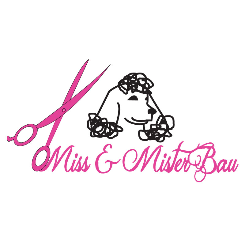 Diseño de Logo por ktgrandy para MISS & MISTER BAU DI MAZZUCCO LARA E C. S.N.C. | Diseño #5853220