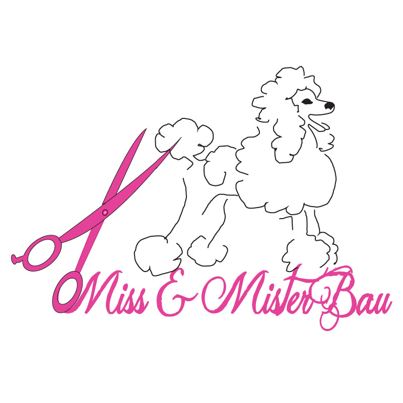 Diseño de Logo por ktgrandy para MISS & MISTER BAU DI MAZZUCCO LARA E C. S.N.C. | Diseño #5856567