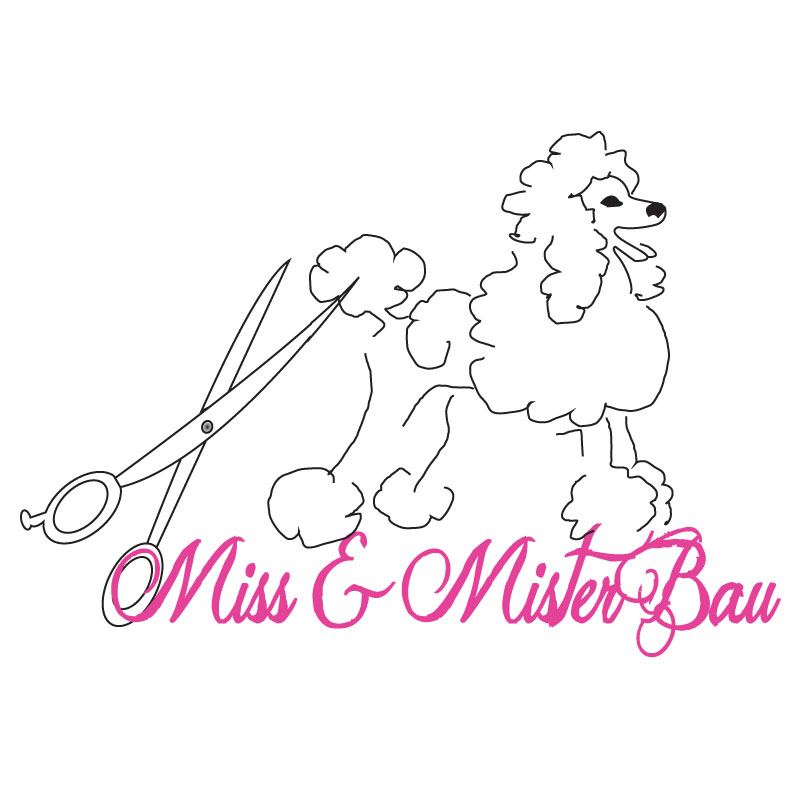Diseño de Logo por ktgrandy para MISS & MISTER BAU DI MAZZUCCO LARA E C. S.N.C. | Diseño #5856657