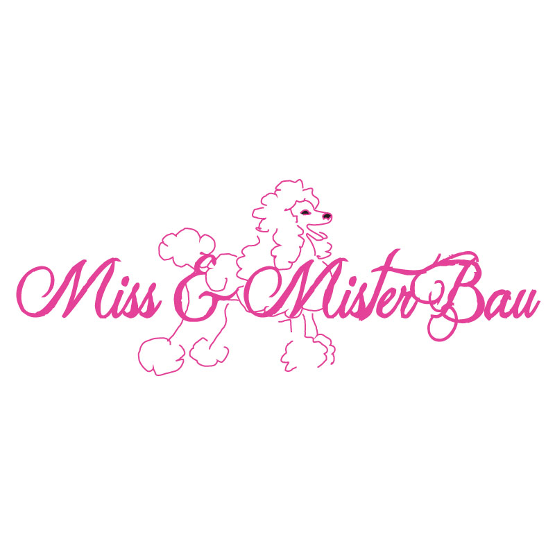 Diseño de Logo por ktgrandy para MISS & MISTER BAU DI MAZZUCCO LARA E C. S.N.C. | Diseño #5856666