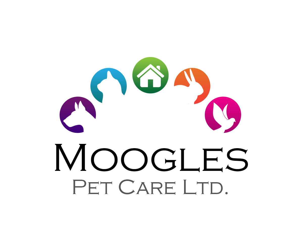 Logo Design by Edoers for Adira Limited | Design #5768373