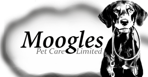 Logo Design by tigerbeatz