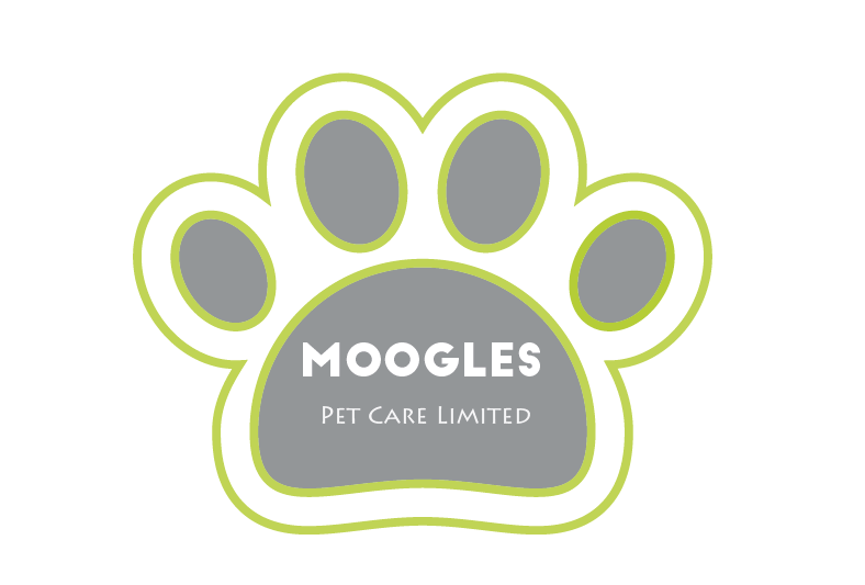 Diseño de Logo por estefilens para Adira Limited | Diseño #5761907