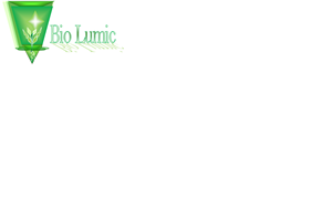 Logo Design by Soleil