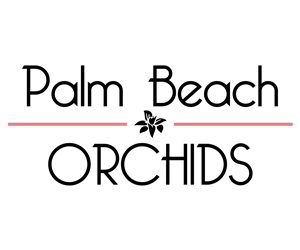 Logo Design by Guzzy for this project | Design: #5775921