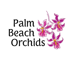 Logo Design by set for this project | Design: #5772043