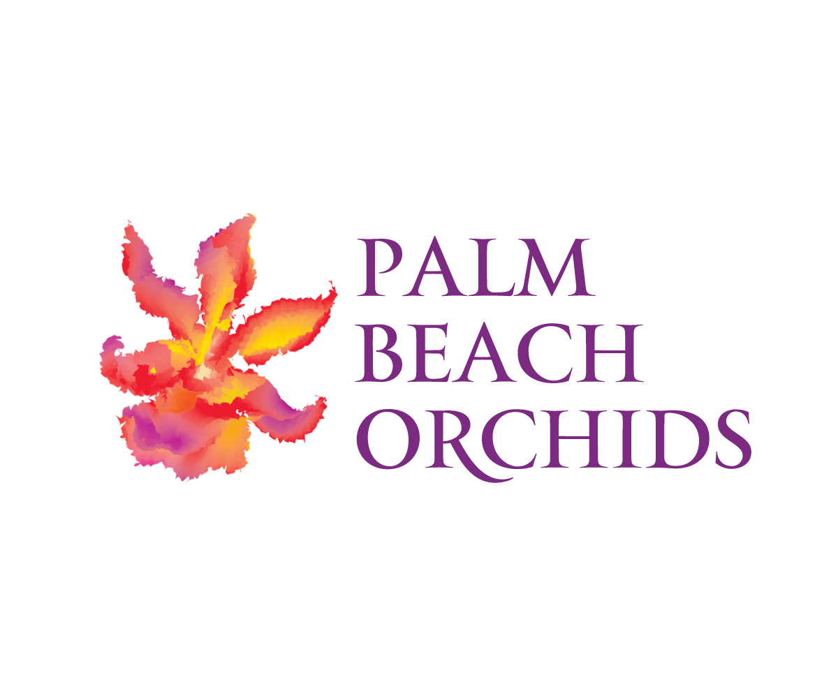 Logo Design by set for this project | Design #5772048