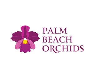 Logo Design by set for this project | Design: #5790491