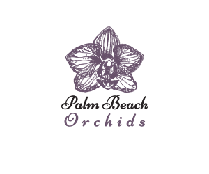 Logo Design by re for this project | Design: #5766666
