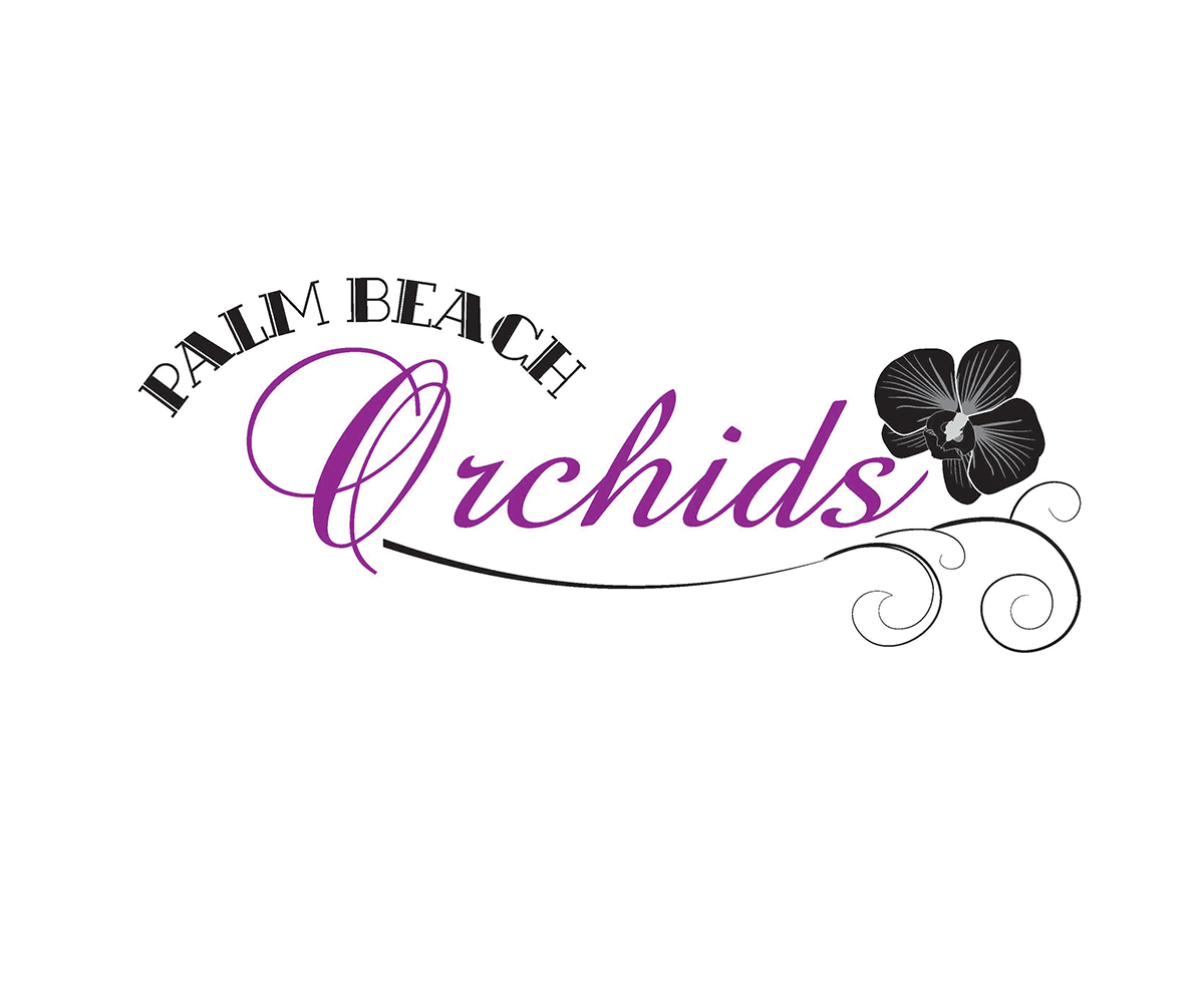 Logo Design by MendiKleinDesign for this project | Design #5773690