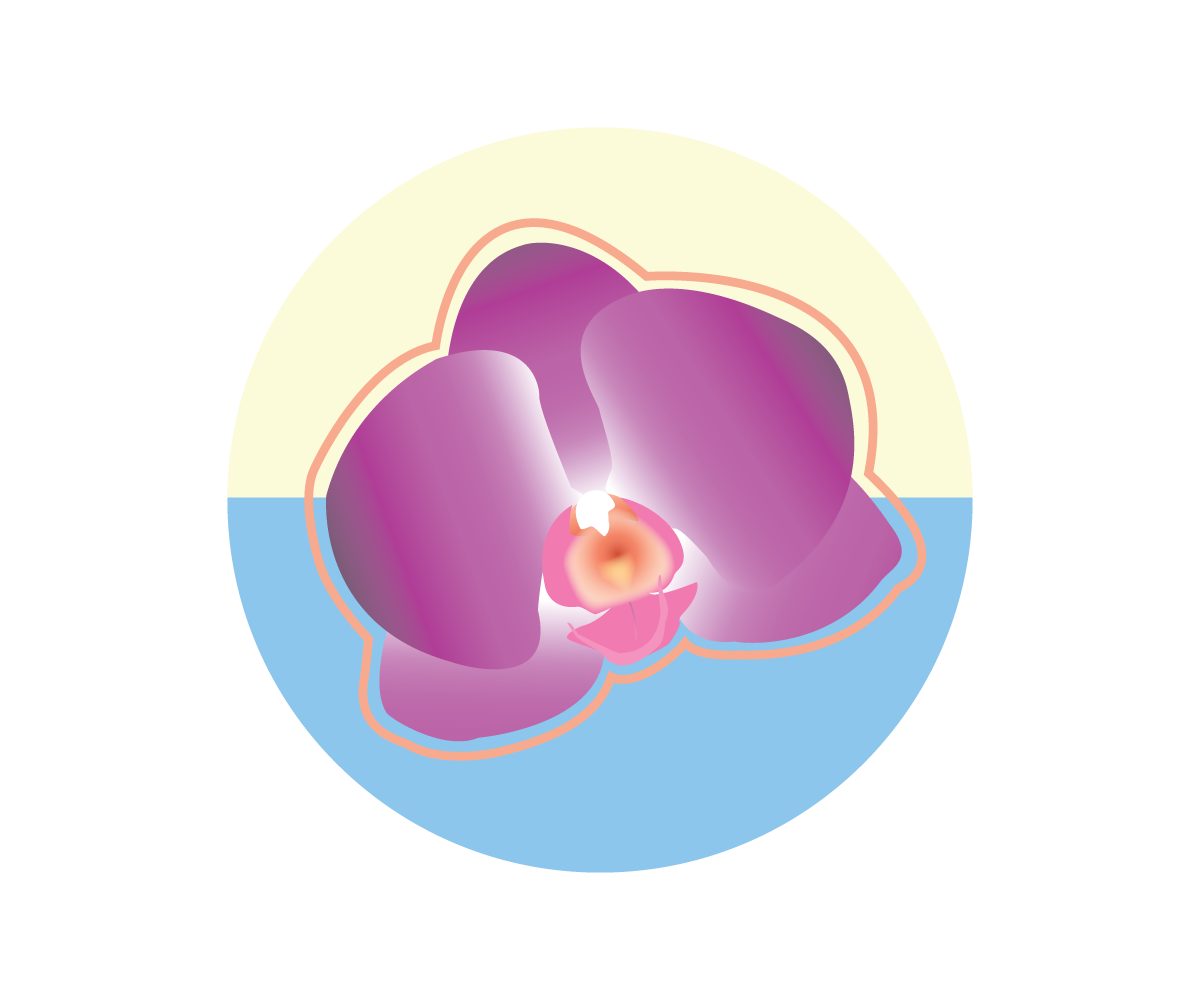 Logo Design by Goliva Designs for this project | Design #5740445