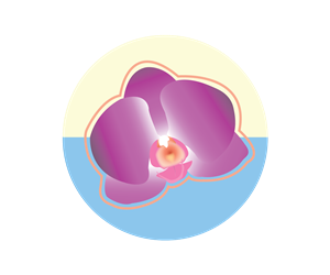 Logo Design by Goliva Designs