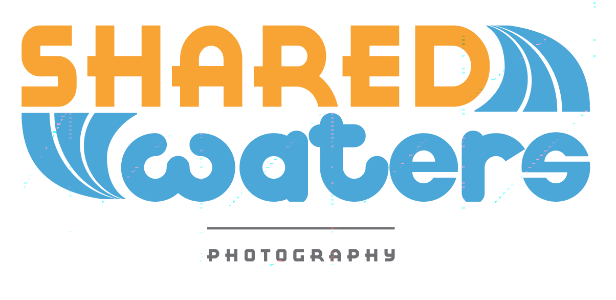 Logo Design by Michael for this project | Design #1567608