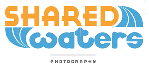 Logo Design by Michael for this project | Design: #1567608