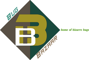 Logo Design by Jjay