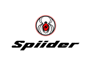 Logo Design by borzoid