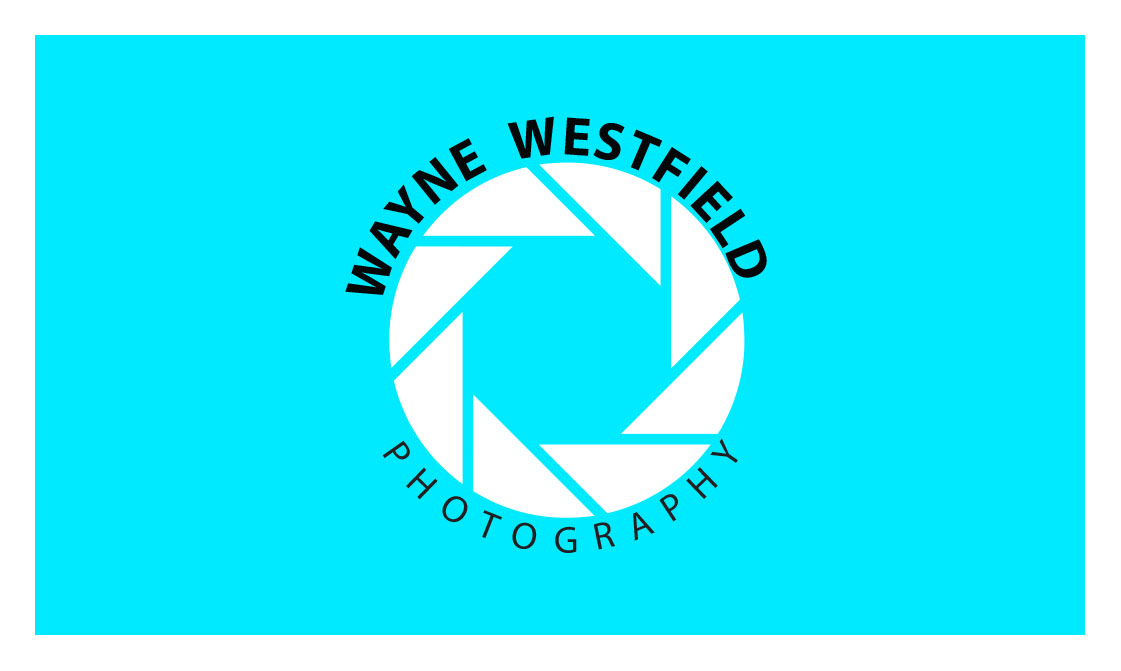 Business Card Design by Edward for Wayne Westfield Photography | Design #1621969