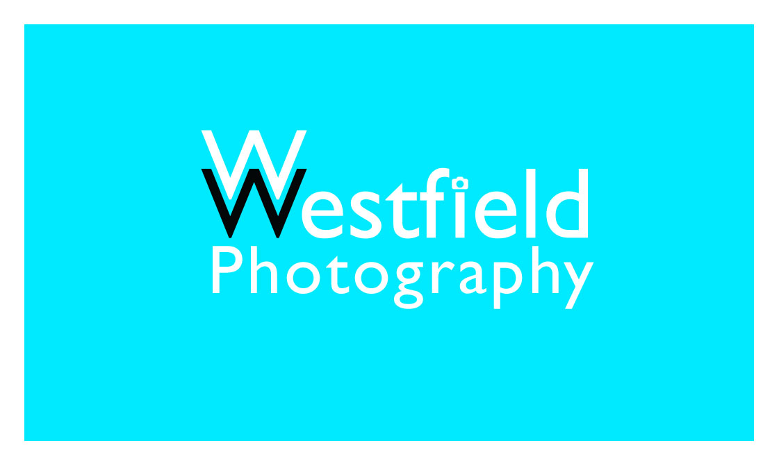 Business Card Design by Edward for Wayne Westfield Photography | Design #1621978