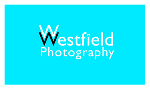 Business Card Design by Edward for Wayne Westfield Photography | Design: #1621978