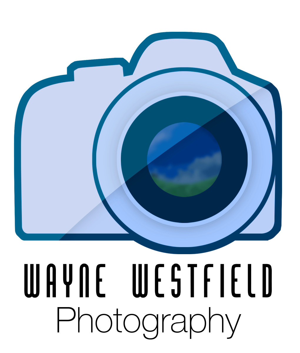 Business Card Design by OverCast for Wayne Westfield Photography | Design #1620230