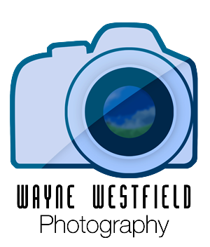 Design de Carte de Visite par OverCast pour Wayne Westfield Photography | Design : #1620230
