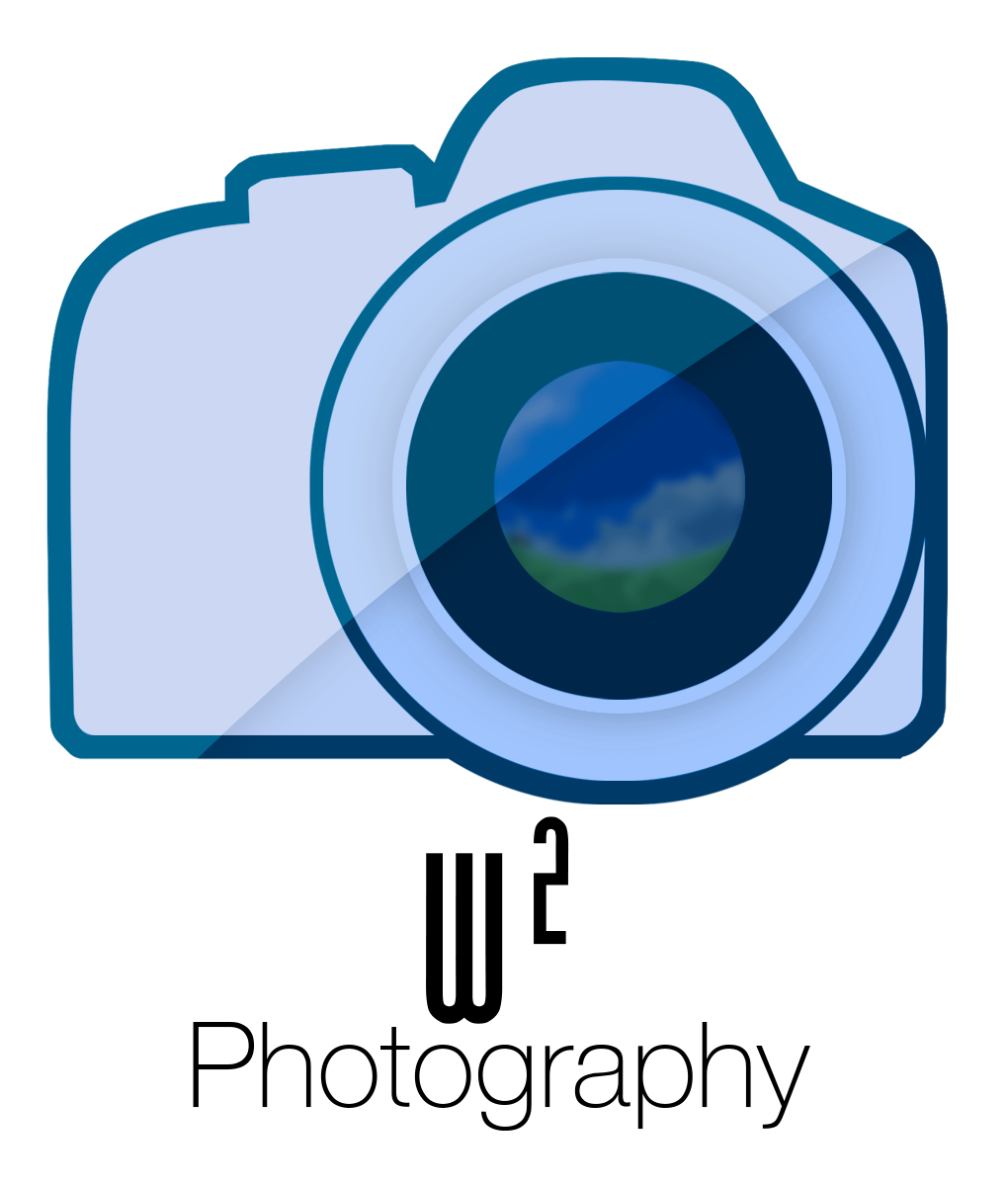 Business Card Design by OverCast for Wayne Westfield Photography | Design #1620241