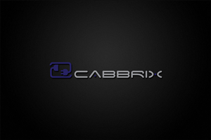 Design de Logo par Ather Ali Khan pour Brybin GmbH | Design : #5810952