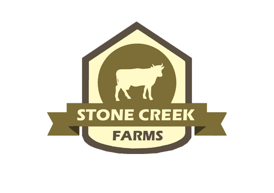 Logo Design by Bravia for this project | Design #5786379