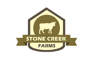 Logo Design by Bravia
