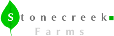 Logo Design by NikolaCurovic