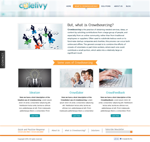 Web Design by Vedanta Web Solutions for this project | Design: #1591327