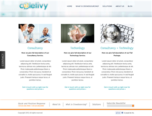 Web Design by Vedanta Web Solutions for this project | Design: #1591331
