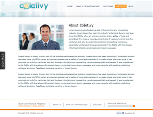 Web Design by Vedanta Web Solutions for this project | Design: #1591333