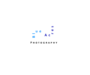 Logo Design by vldmr for BlueAcres Photography | Design #5772421