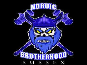 T-shirt Design by Hellsing1313