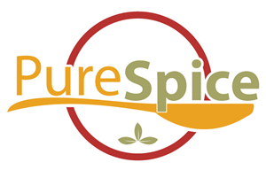 Logo Design by Vibrix Media