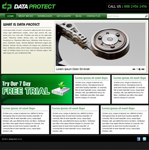 Wordpress Design Help | Wordpress Design by Expert Designer
