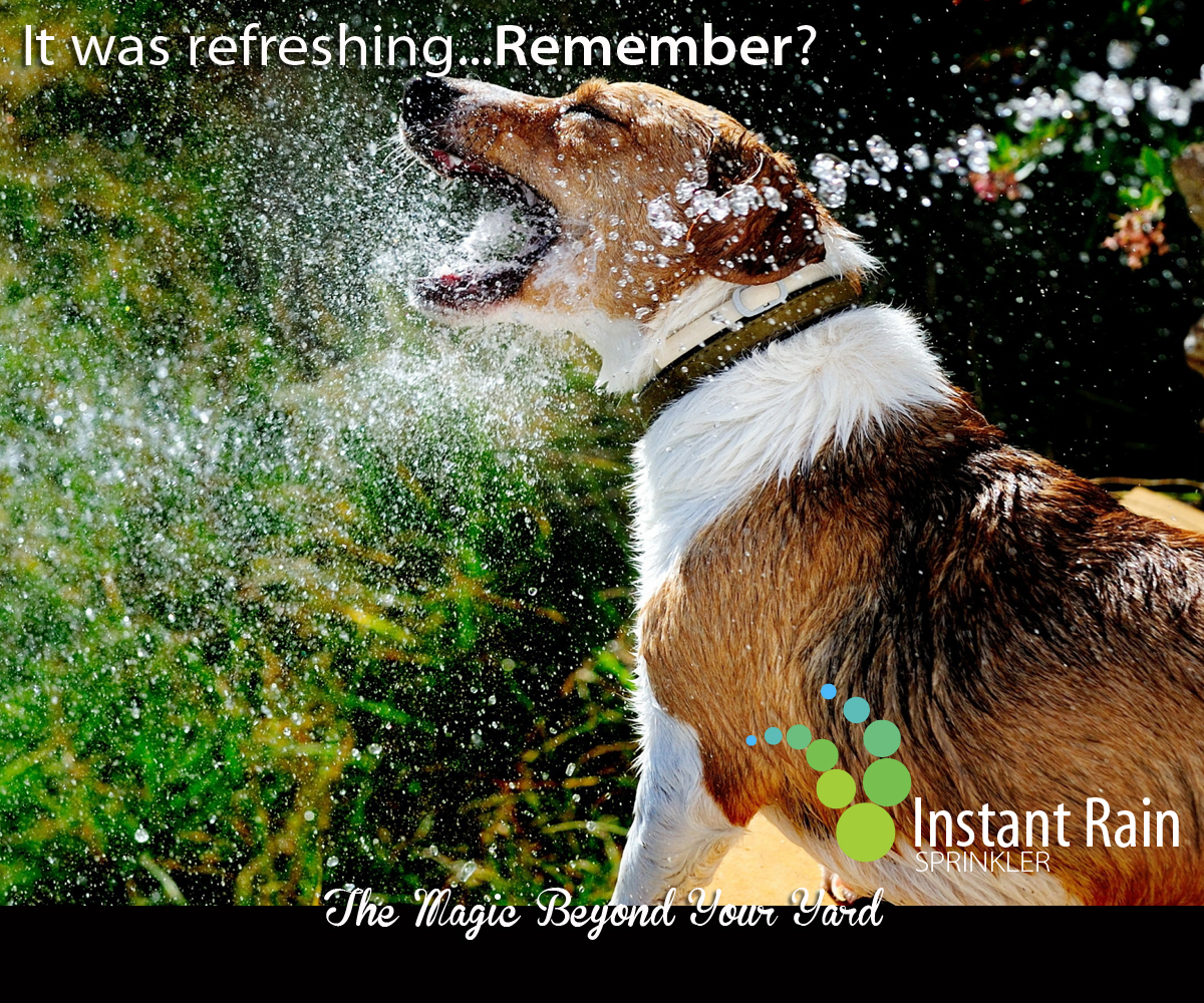 Logo Design by WholeBranding® for Instant Rain Sprinkler LLC | Design #1601102