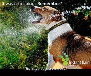 Logo Design by WholeBranding® for Instant Rain Sprinkler LLC | Design: #1601102