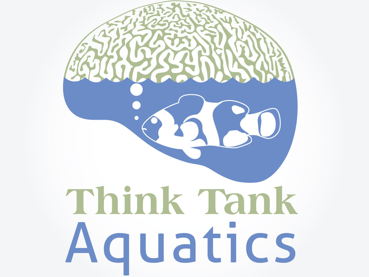 Logo-Design von Kings Bishop Design für dieses Projekt | Design #1589208